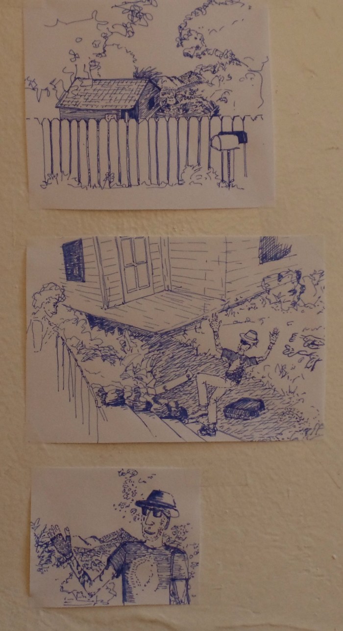 SAMSUNG CAMERA PICTURES